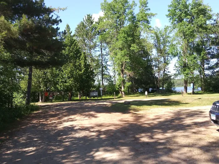 Clint Converse State Forest Campground Picture 2