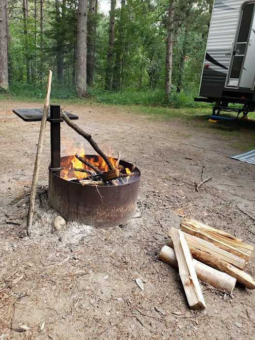 Clint Converse State Forest Campground Picture 6
