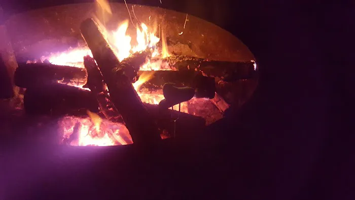 Clint Converse State Forest Campground Picture 5