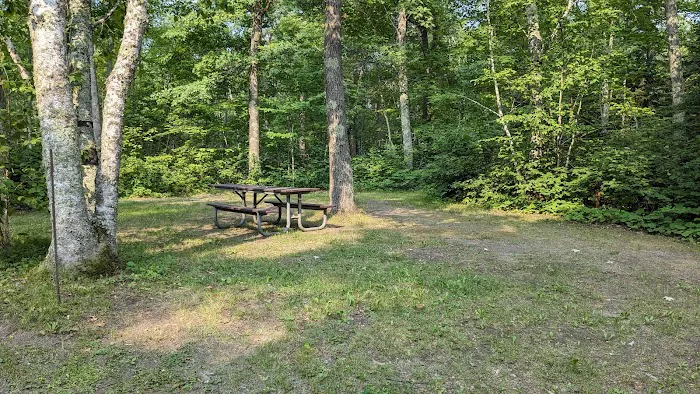 Mabel Lake Campground Picture 3