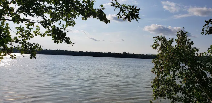 Mabel Lake Campground Picture 2