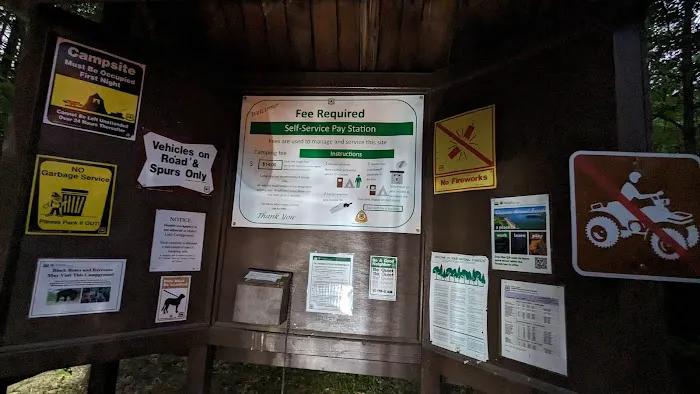 Mabel Lake Campground Picture 4