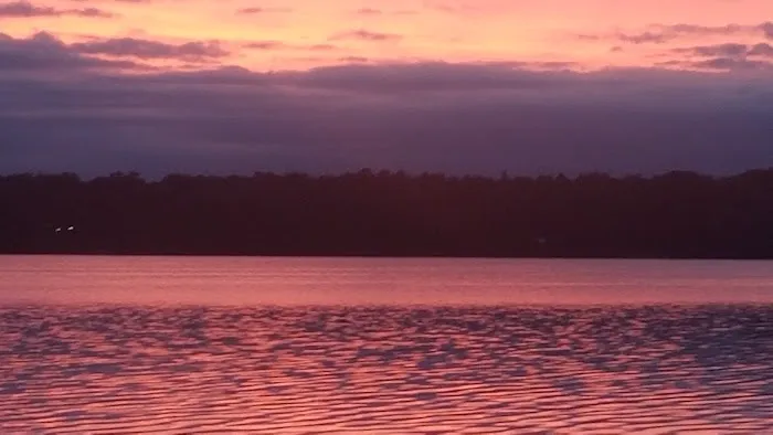 Mabel Lake Campground Picture 9