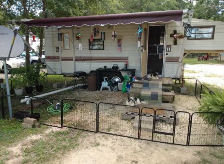 Shady Acres