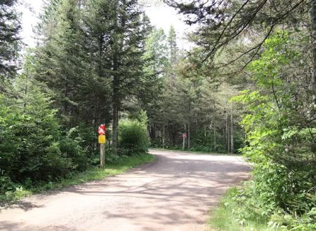 Finland Campground