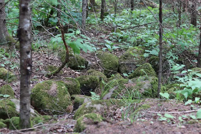 Finland Campground Picture 5