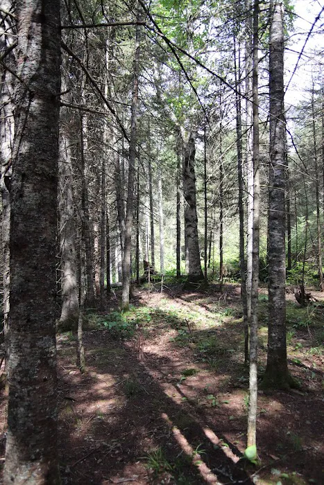 Finland Campground Picture 9