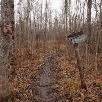 Palisade Creek West Campsite ico