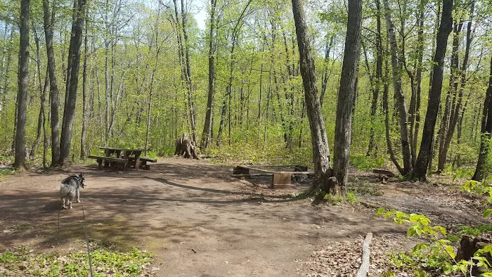 Penn Creek Camp Picture 2