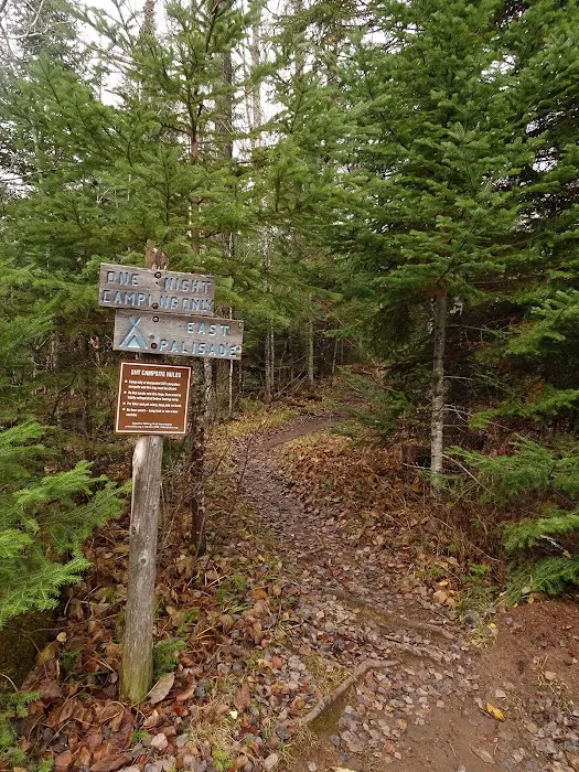 Palisade Creek East Campsite Picture 4