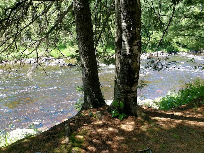 Eckbeck Campground Picture 5