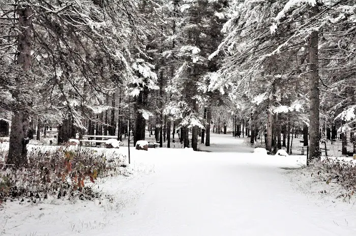 Eckbeck Campground Picture 6