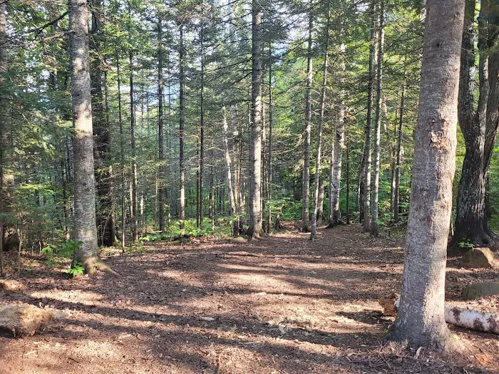 North Egge Lake Camp Picture 4
