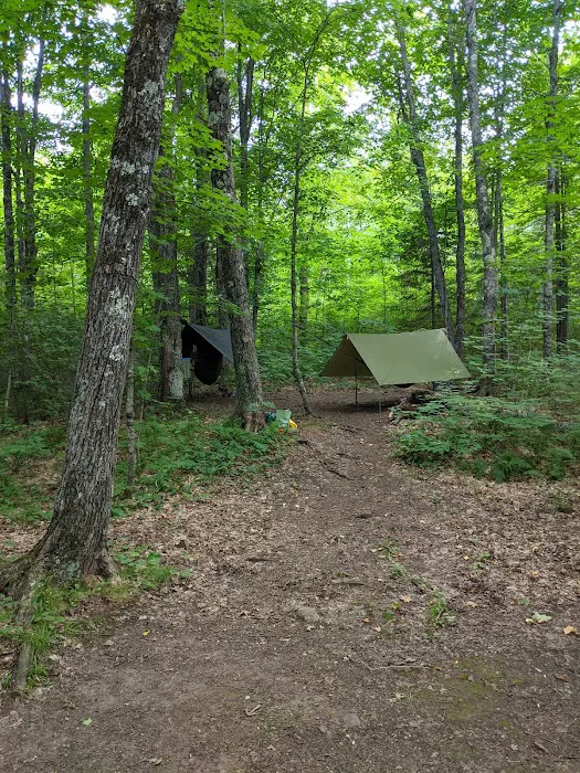 Leskinen Creek Camp Picture 1