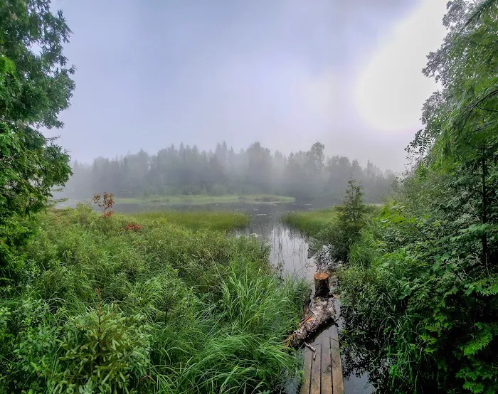 North Sonju Lake Camp Picture 6