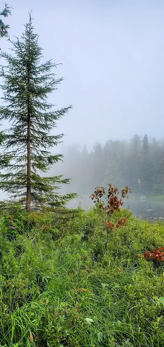 North Sonju Lake Camp Picture 8
