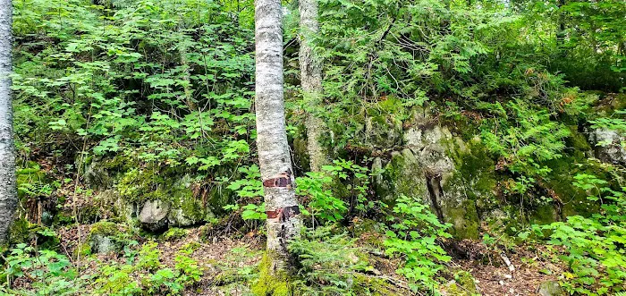 North Sonju Lake Camp Picture 10