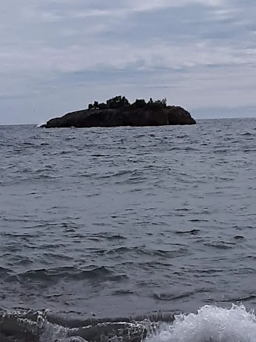 Black Beach Municipal Campground Picture 7