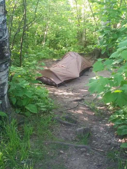 West Kennedy Creek Camp Picture 10