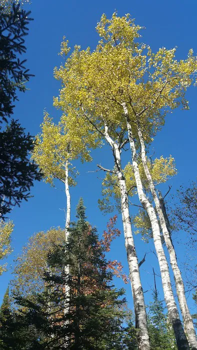 Aspen Knob Camp Picture 1
