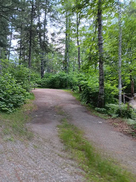 Bear Head Lake Campground Picture 5