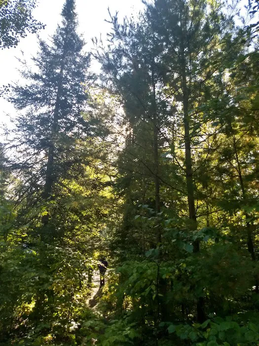Bear Head Lake Campground Picture 8