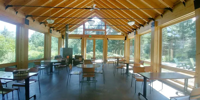 Bear Head Lake Campground Picture 9