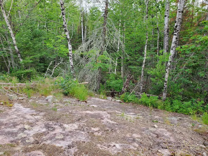 Lake Vermilion-Soudan Underground Mine State Park - Vermilion Ridge Campground Picture 6