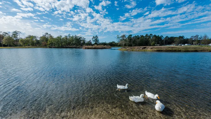 Jellystone Park™ Lake Charles Picture 5