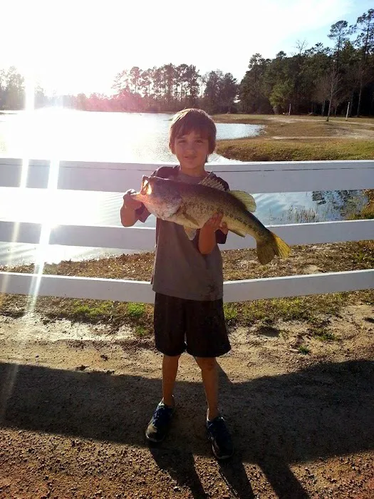 Jellystone Park™ Lake Charles Picture 10