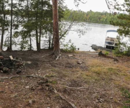 Pine Island North East USFS Campsite