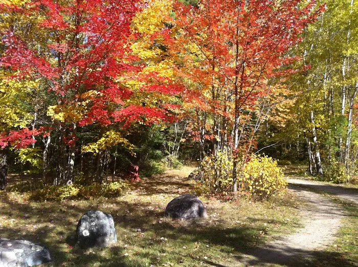 Cliff Wold's Campground Picture 3