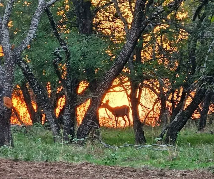 Flatrock on the Brazos Picture 4
