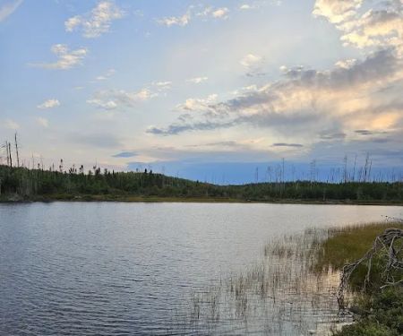 BWCA Campsite #1930