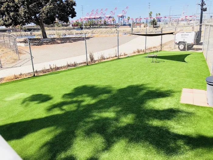 Golden Shore RV Resort Picture 6