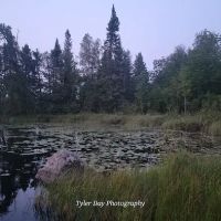 Section 29 Lake Campground ico