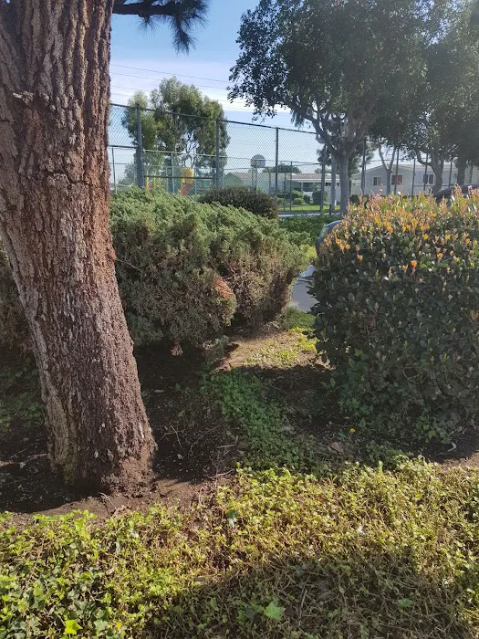 Windward Village Mobile Home Park Picture 7