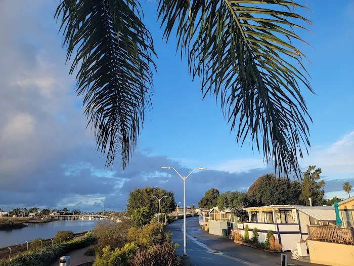 Belmont Shores Mobile Estates Picture 3