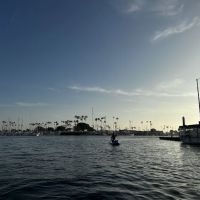 Seal Beach Shores ico