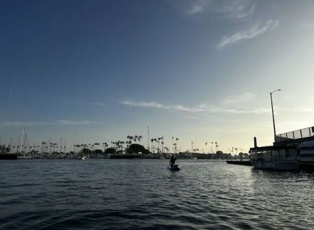 Seal Beach Shores