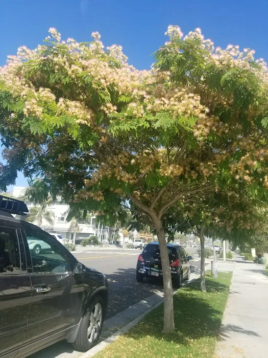 Seal Beach Shores Picture 8
