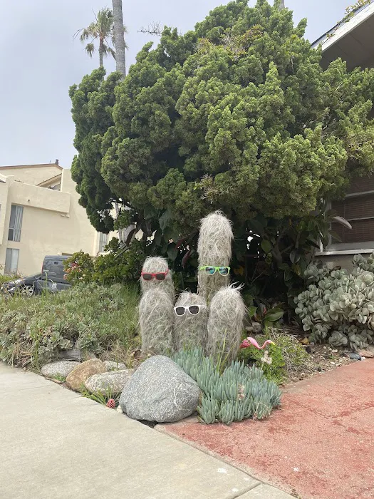 Seal Beach Shores Picture 10