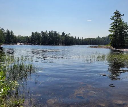 BWCA Campsite #1614