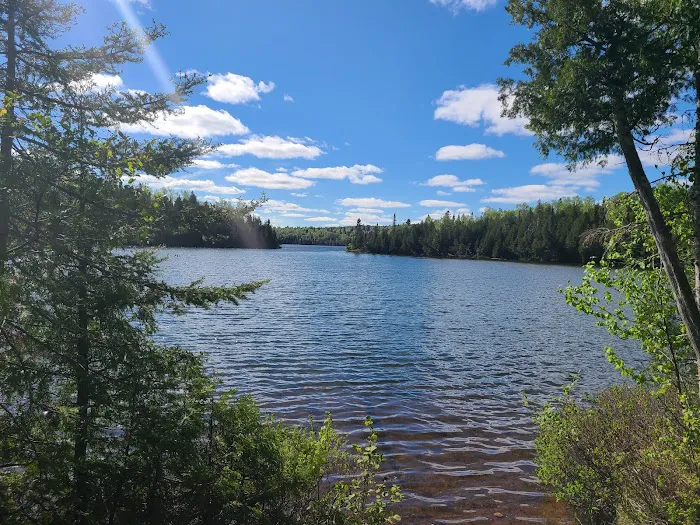 Ninemile Lake Campground Picture 1