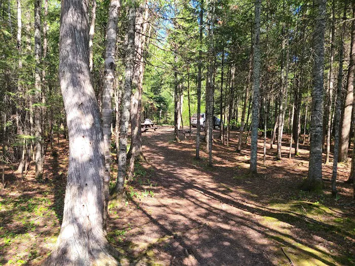Ninemile Lake Campground Picture 8