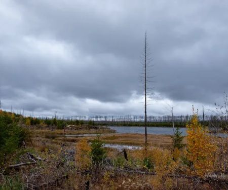 Marathon Lake Campsite - Powwow Trail