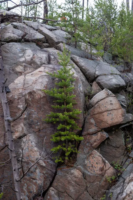 South Wilder Lake Campsite - Powwow Trail Picture 3