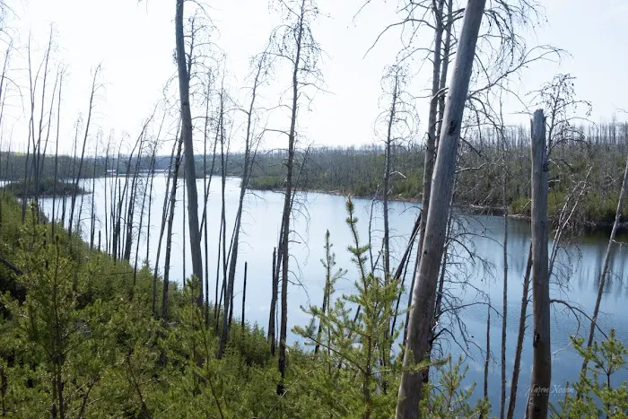 South Wilder Lake Campsite - Powwow Trail Picture 4
