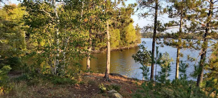 Hinsdale Island Campsite 11 Picture 2