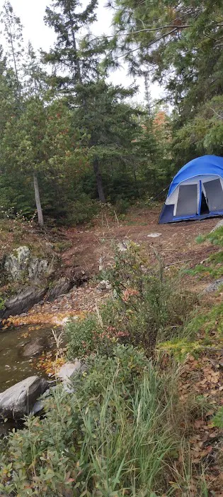 Hinsdale Island Campsite 11 Picture 4